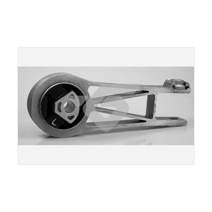 Laikiklis, variklio montavimas HUTCHINSON 594473