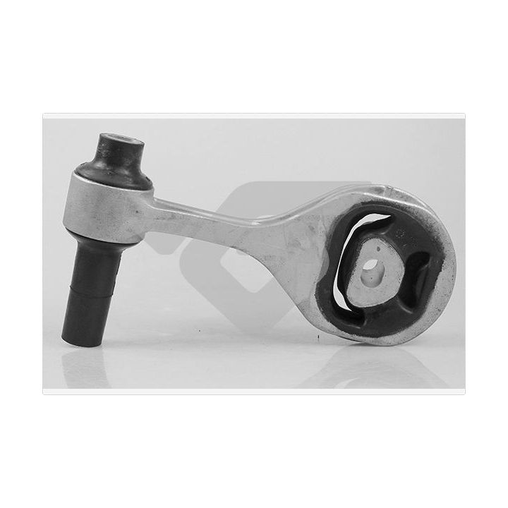 Laikiklis, variklio montavimas HUTCHINSON 594502