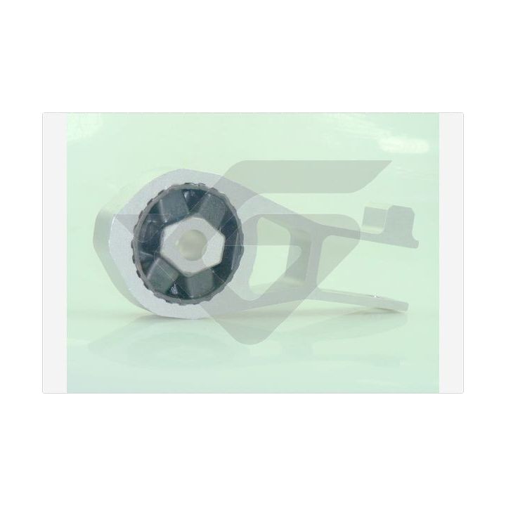 Laikiklis, variklio montavimas HUTCHINSON 594561