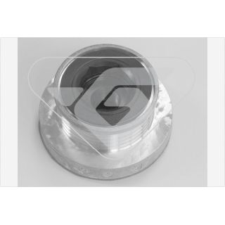 Skriemulys, kintamosios srovės generatorius HUTCHINSON D7512