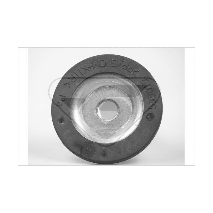 Pakabos statramsčio atraminis guolis HUTCHINSON 533019