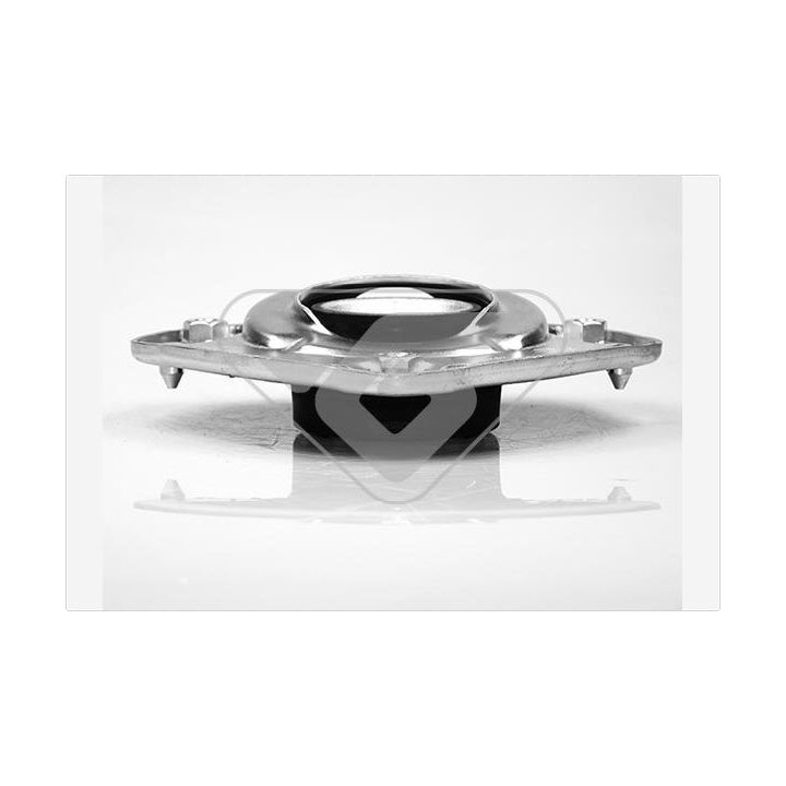 Pakabos statramsčio atraminis guolis HUTCHINSON 594173