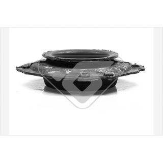 Pakabos statramsčio atraminis guolis HUTCHINSON 599074