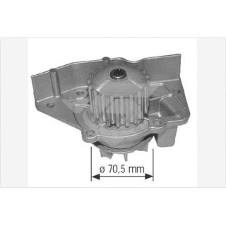 Vandens siurblys, variklio aušinimas HUTCHINSON WP0030V