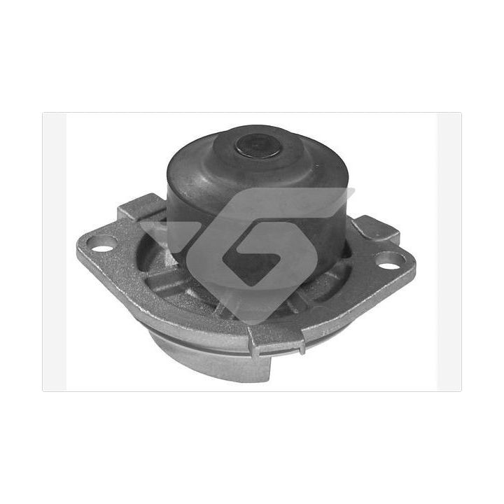 Vandens siurblys, variklio aušinimas HUTCHINSON WP0038V