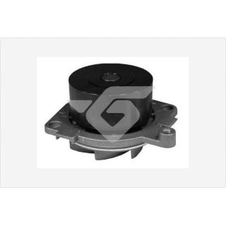 Vandens siurblys, variklio aušinimas HUTCHINSON WP0076V