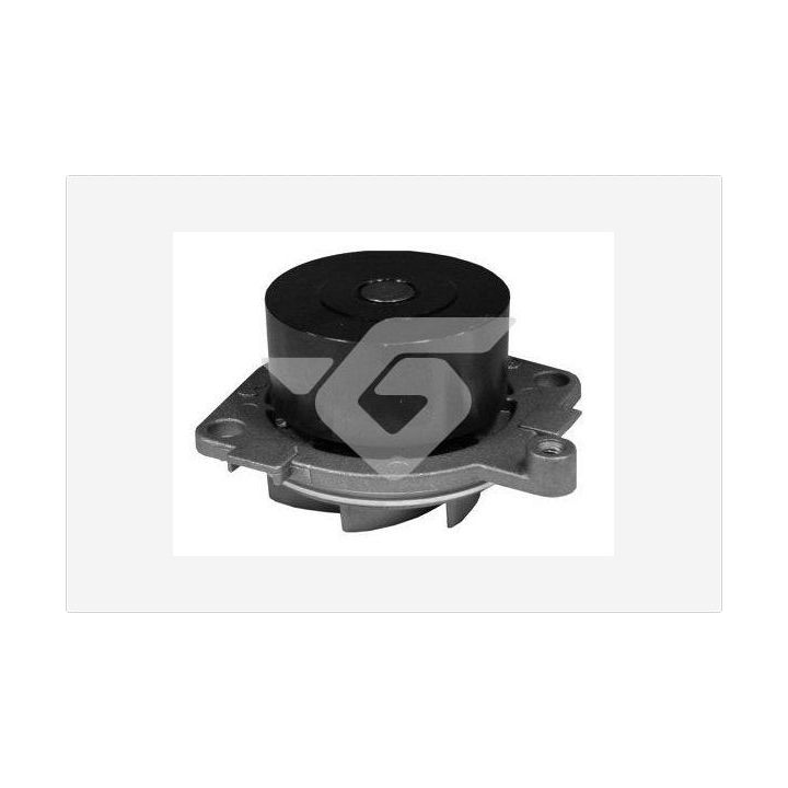 Vandens siurblys, variklio aušinimas HUTCHINSON WP0076V