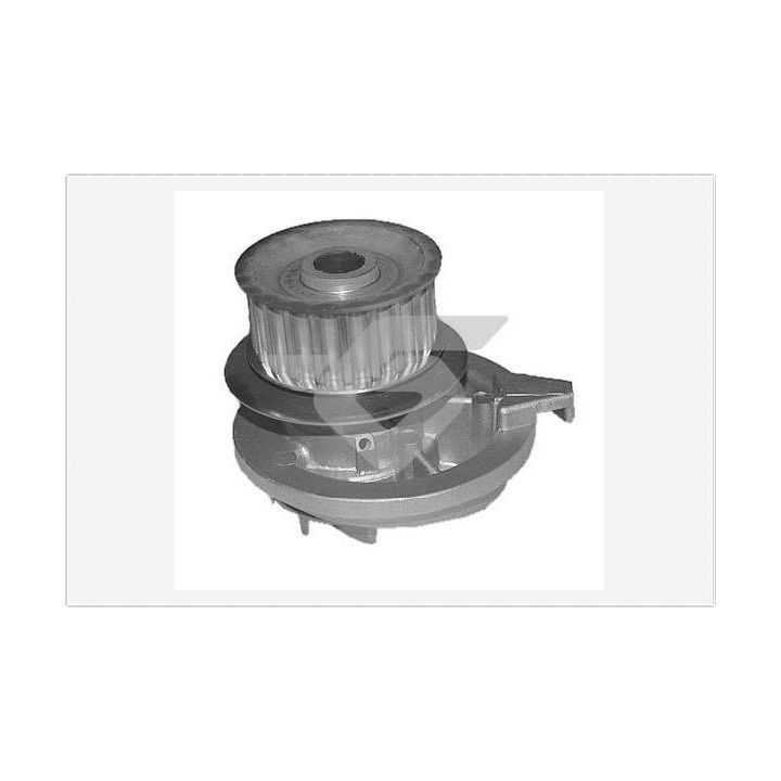 Vandens siurblys, variklio aušinimas HUTCHINSON WP10