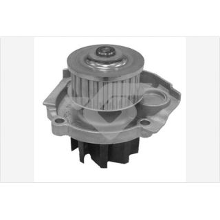 Vandens siurblys, variklio aušinimas HUTCHINSON WP107