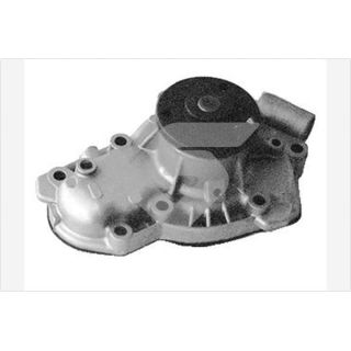 Vandens siurblys, variklio aušinimas HUTCHINSON WP111