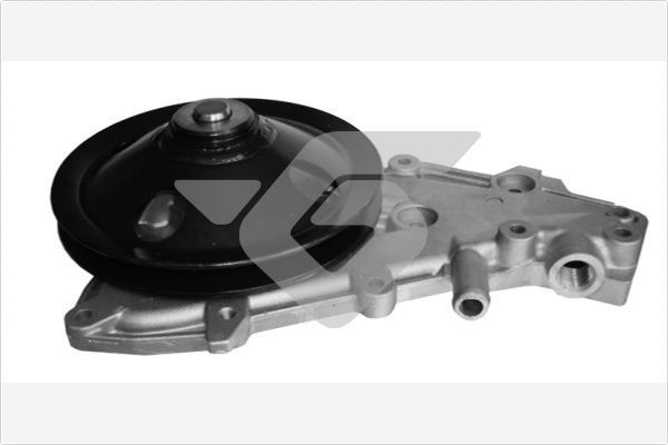 Vandens siurblys, variklio aušinimas HUTCHINSON WP119