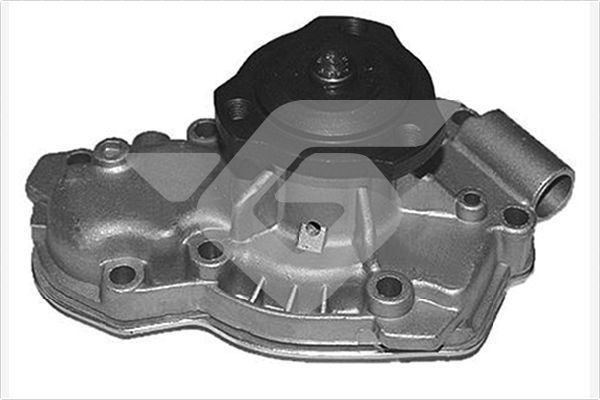 Vandens siurblys, variklio aušinimas HUTCHINSON WP123