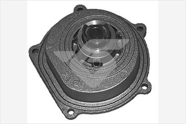 Vandens siurblys, variklio aušinimas HUTCHINSON WP162