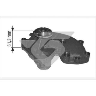 Vandens siurblys, variklio aušinimas HUTCHINSON WP163