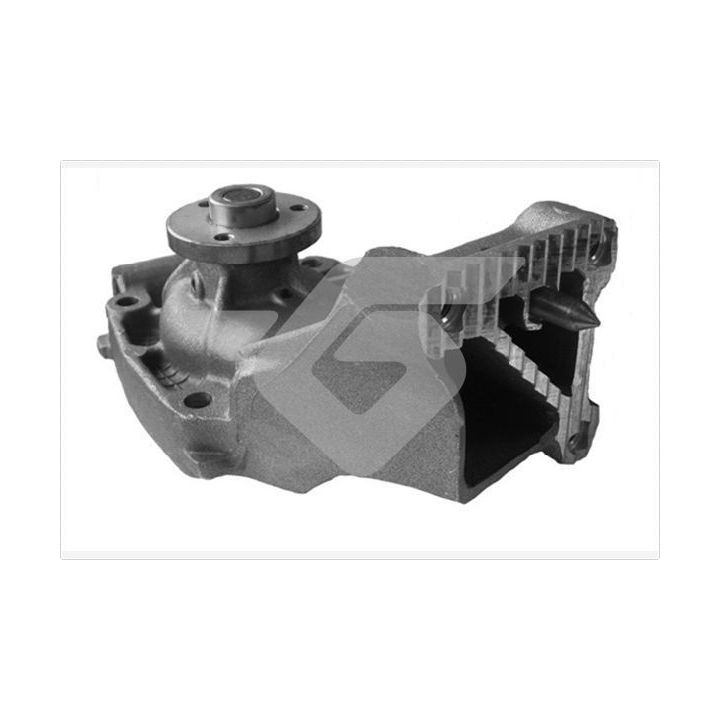 Vandens siurblys, variklio aušinimas HUTCHINSON WP170