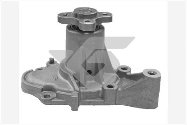 Vandens siurblys, variklio aušinimas HUTCHINSON WP171
