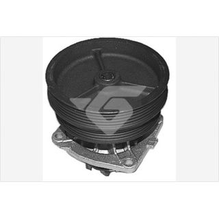 Vandens siurblys, variklio aušinimas HUTCHINSON WP172