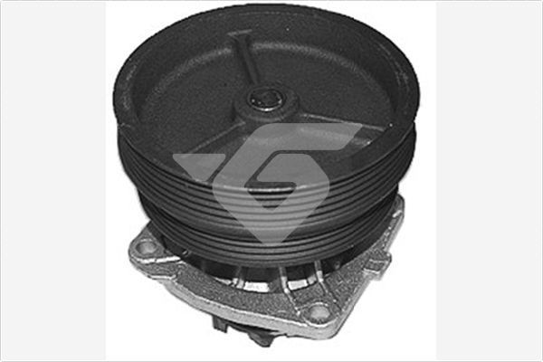 Vandens siurblys, variklio aušinimas HUTCHINSON WP172