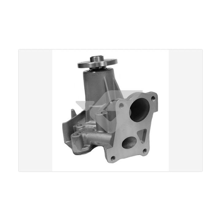 Vandens siurblys, variklio aušinimas HUTCHINSON WP174