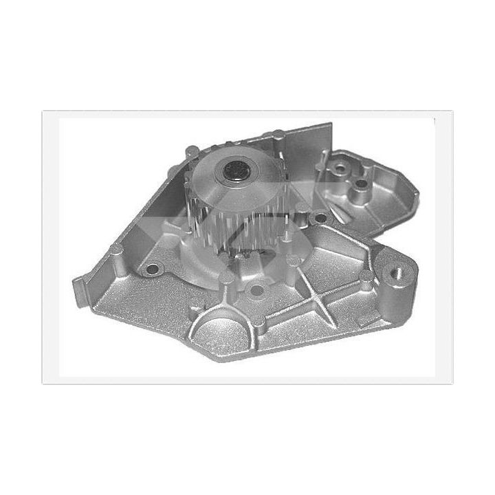 Vandens siurblys, variklio aušinimas HUTCHINSON WP18