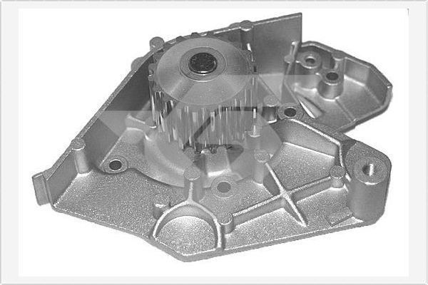 Vandens siurblys, variklio aušinimas HUTCHINSON WP18