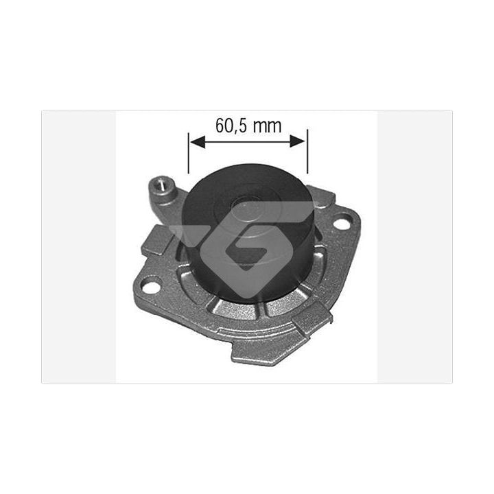 Vandens siurblys, variklio aušinimas HUTCHINSON WP181
