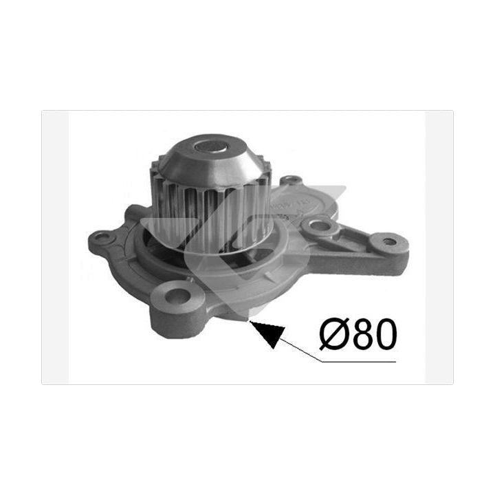 Vandens siurblys, variklio aušinimas HUTCHINSON WP191