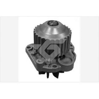 Vandens siurblys, variklio aušinimas HUTCHINSON WP216