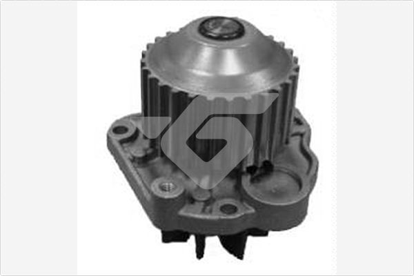 Vandens siurblys, variklio aušinimas HUTCHINSON WP216