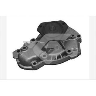 Vandens siurblys, variklio aušinimas HUTCHINSON WP224