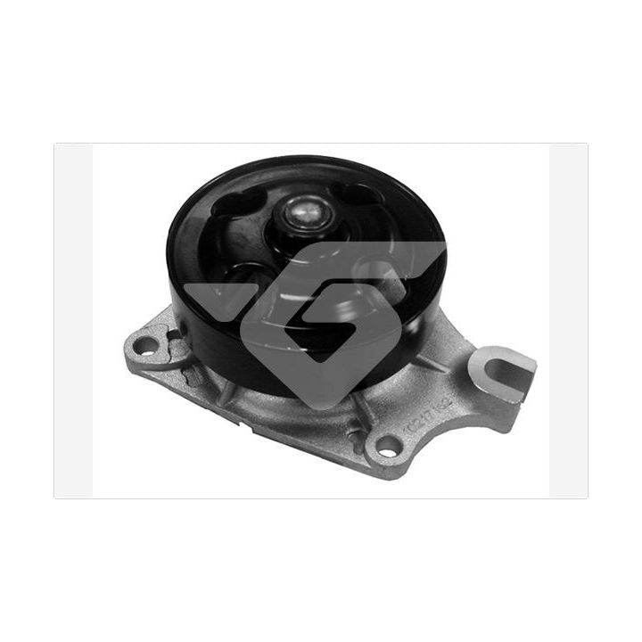 Vandens siurblys, variklio aušinimas HUTCHINSON WP225