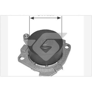 Vandens siurblys, variklio aušinimas HUTCHINSON WP25