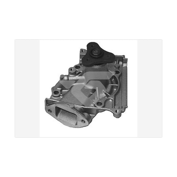 Vandens siurblys, variklio aušinimas HUTCHINSON WP252