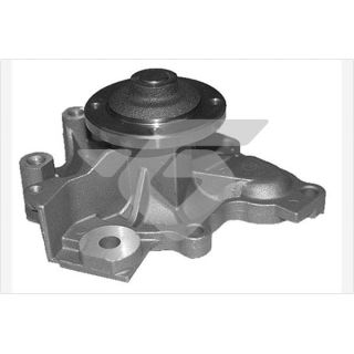 Vandens siurblys, variklio aušinimas HUTCHINSON WP260