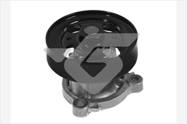 Vandens siurblys, variklio aušinimas HUTCHINSON WP269