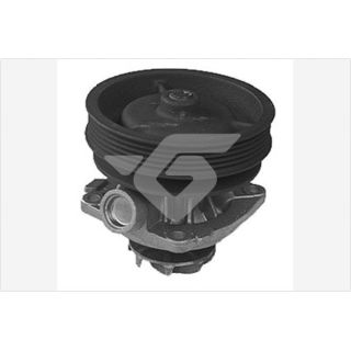 Vandens siurblys, variklio aušinimas HUTCHINSON WP273