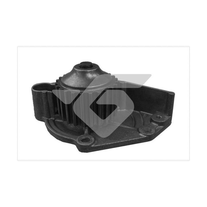 Vandens siurblys, variklio aušinimas HUTCHINSON WP274