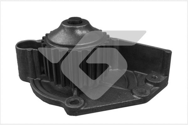 Vandens siurblys, variklio aušinimas HUTCHINSON WP274