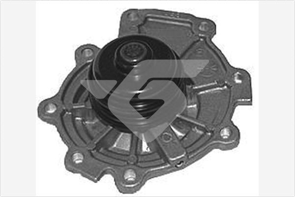 Vandens siurblys, variklio aušinimas HUTCHINSON WP275