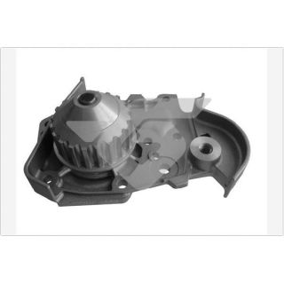 Vandens siurblys, variklio aušinimas HUTCHINSON WP29