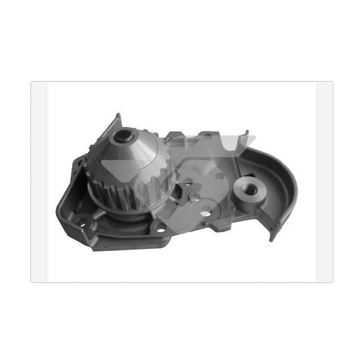 Vandens siurblys, variklio aušinimas HUTCHINSON WP29