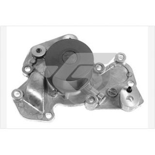 Vandens siurblys, variklio aušinimas HUTCHINSON WP290