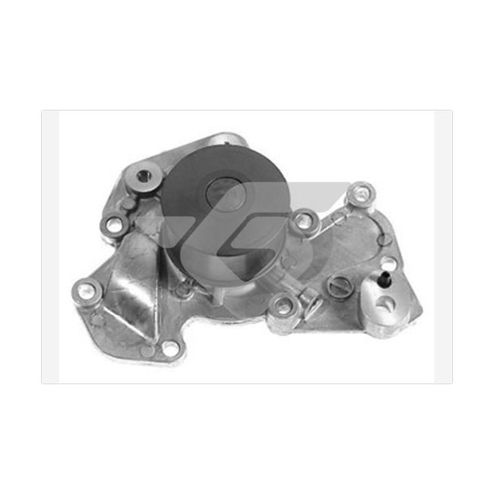 Vandens siurblys, variklio aušinimas HUTCHINSON WP290