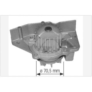 Vandens siurblys, variklio aušinimas HUTCHINSON WP30