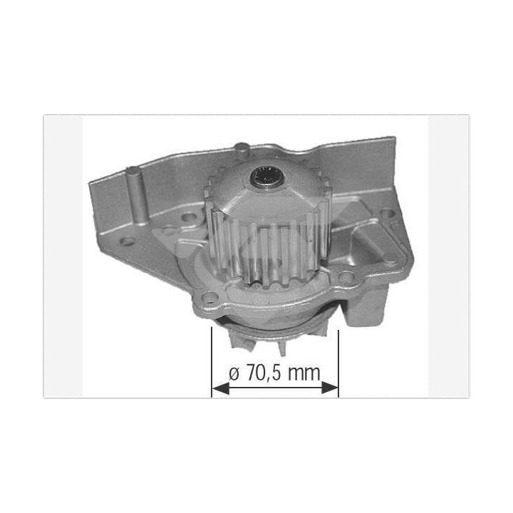 Vandens siurblys, variklio aušinimas HUTCHINSON WP30