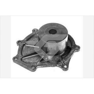 Vandens siurblys, variklio aušinimas HUTCHINSON WP304