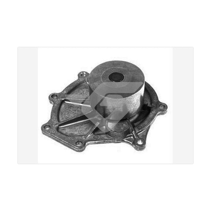 Vandens siurblys, variklio aušinimas HUTCHINSON WP304