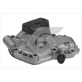 Vandens siurblys, variklio aušinimas HUTCHINSON WP306