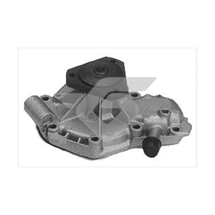 Vandens siurblys, variklio aušinimas HUTCHINSON WP306