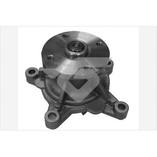 Vandens siurblys, variklio aušinimas HUTCHINSON WP309